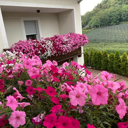 Hotel Garni San Paolo Appiano Sulla Strada Del Vino Zewnętrze zdjęcie