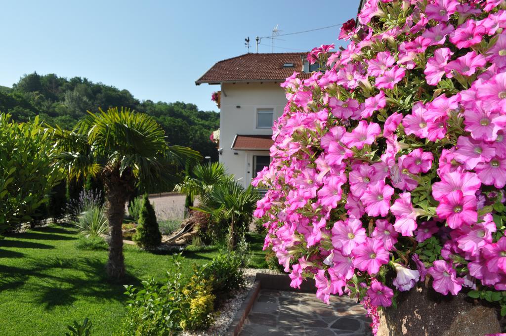 Hotel Garni San Paolo Appiano Sulla Strada Del Vino Zewnętrze zdjęcie