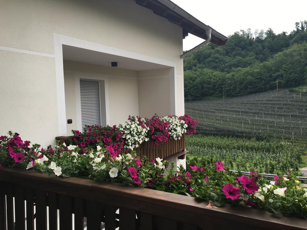 Hotel Garni San Paolo Appiano Sulla Strada Del Vino Zewnętrze zdjęcie