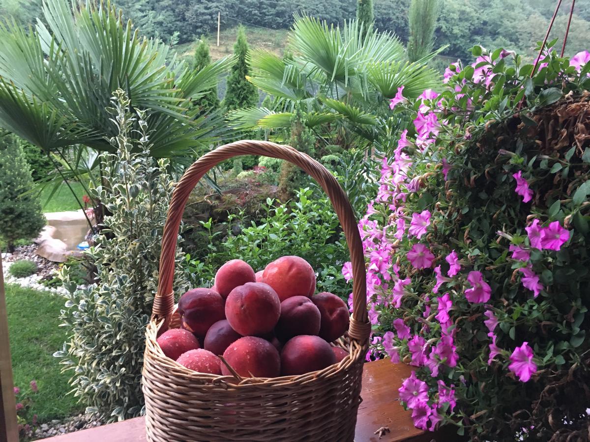 Hotel Garni San Paolo Appiano Sulla Strada Del Vino Zewnętrze zdjęcie