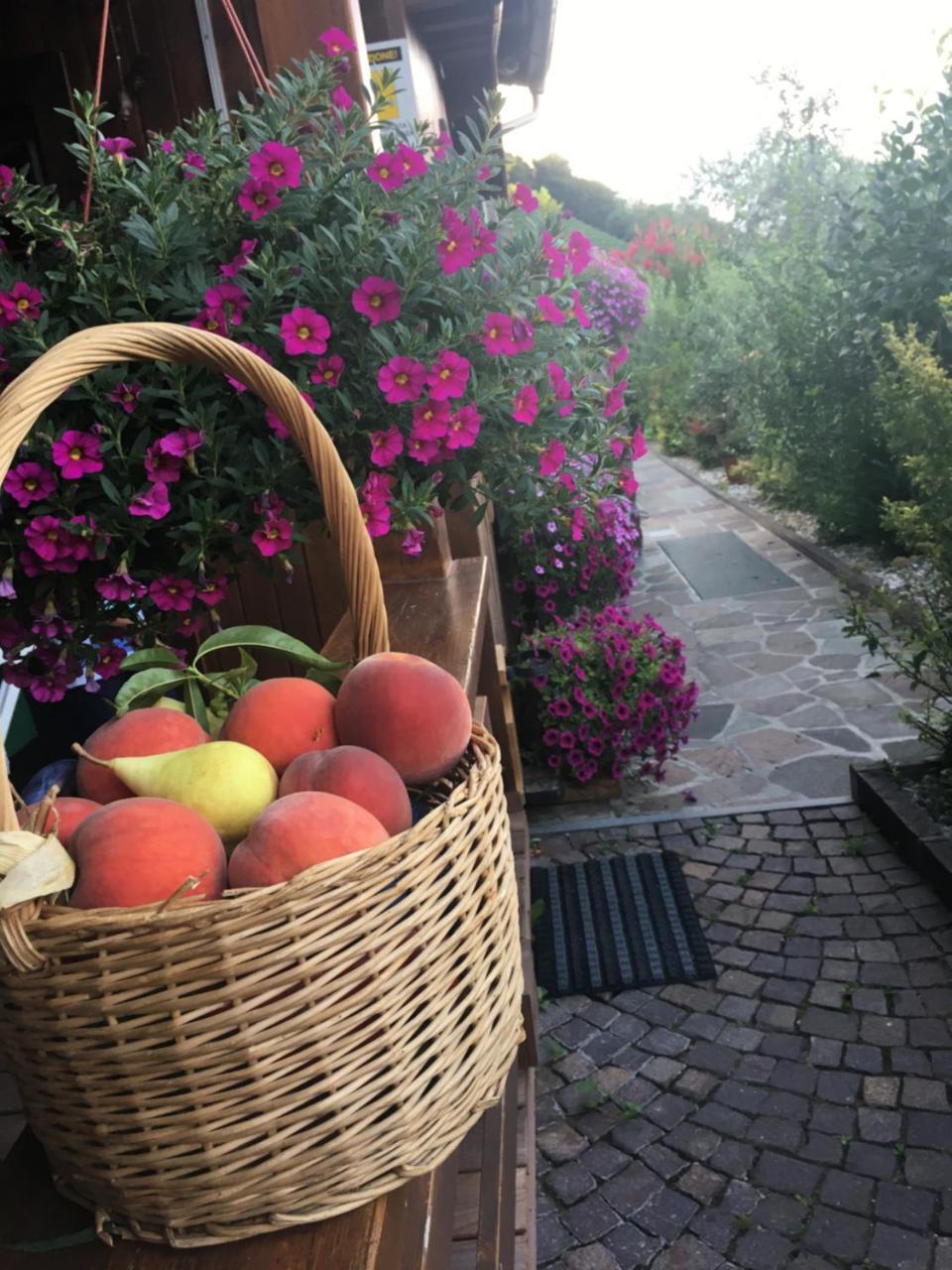 Hotel Garni San Paolo Appiano Sulla Strada Del Vino Zewnętrze zdjęcie