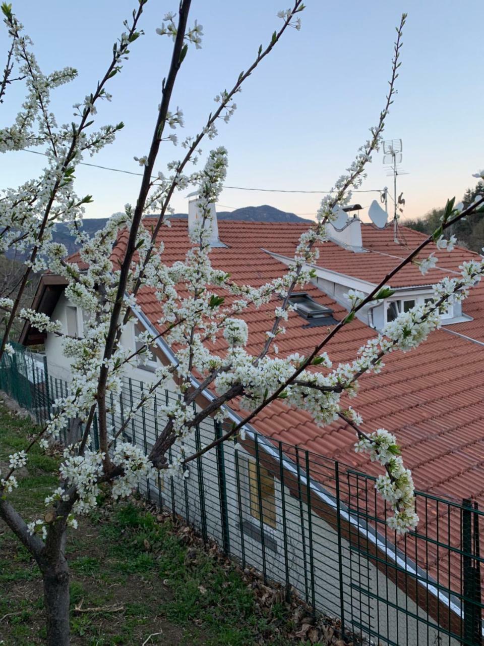 Hotel Garni San Paolo Appiano Sulla Strada Del Vino Zewnętrze zdjęcie