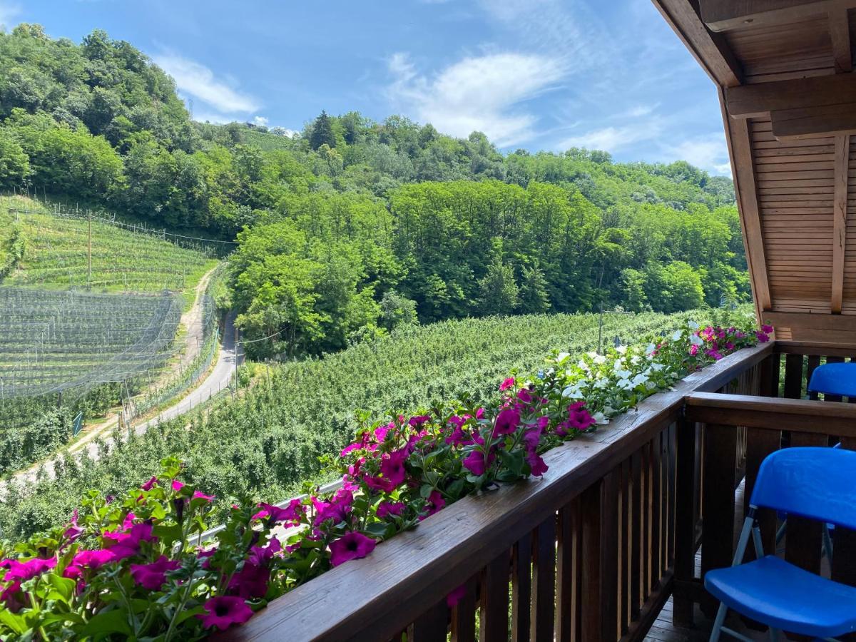 Hotel Garni San Paolo Appiano Sulla Strada Del Vino Zewnętrze zdjęcie