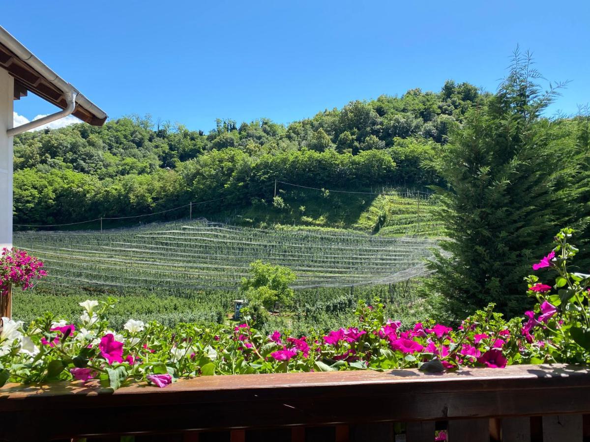 Hotel Garni San Paolo Appiano Sulla Strada Del Vino Zewnętrze zdjęcie